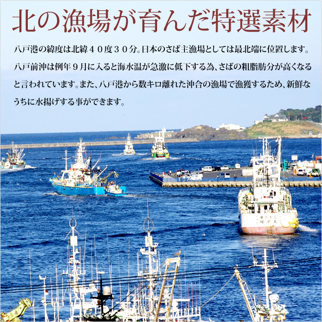 しめさば しめ鯖 通販