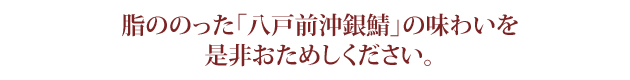 しめさば しめ鯖 通販