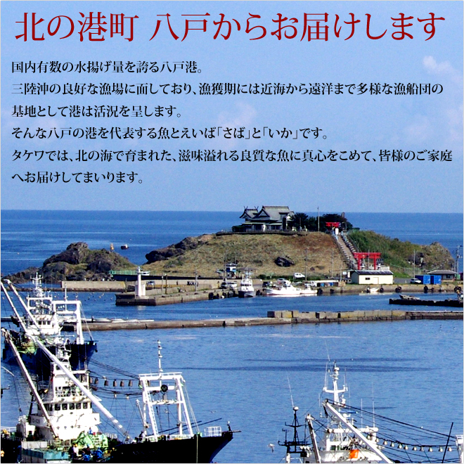 しめさば しめ鯖 通販