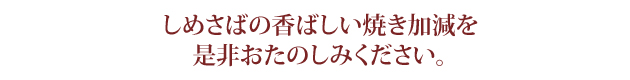 しめさば しめ鯖 通販